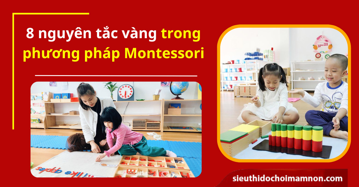 8 nguyên tắc vàng trong phương pháp Montessori ở việt nam